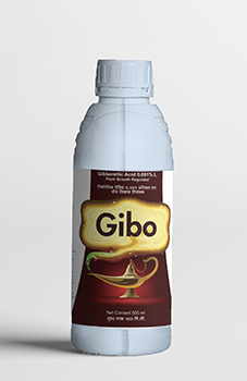 Gibo